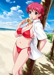  against_tree banana beach bikini breasts curvy day eating expressionless female food fruit green_eyes happoubi_jin holding holding_food holding_fruit iihara_nao large_breasts navel open_clothes open_shirt outdoors pink_hair red_bikini resort_boin shirt short_hair side-tie_bikini_bottom solo swimsuit tree 