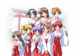  6+girls akiyama_fumio amagasaki_mikoto artist_request everyone fujieda_honami hakama hakama_skirt hirose_yuka japanese_clothes long_sleeves miko multiple_girls nishina_kyouko nonohara_yui red_hakama shibugaki_matsuri skirt tachibana_chihiro torii tsuki_wa_higashi_ni_hi_wa_nishi_ni 