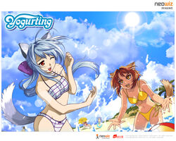  1boy 4girls animal_ears ball beach beachball bianka bikini blue_hair china_(yogurting) cloud day dog_ears eika_(artist) flat_chest happy innertube karen_(yogurting) lens_flare long_hair multiple_girls one_eye_closed outdoors plaid plaid_bikini ponytail red_hair short_hair side-tie_bikini_bottom sky souchong splashing suiren_(yogurting) sun swim_ring swimsuit tail umbrella wading water yellow_eyes yogurting 