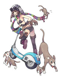  bikini canine copyright_request female ground_vehicle motor_vehicle motorized_kick_scooter multicolored_clothes multicolored_scarf multicolored_stripes scarf solo striped_clothes striped_scarf swimsuit thighhighs youhei_(artist) 