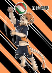  absurd_res claws clothing colored disney felid feral fur hi_res jumping lion male mammal mane midriff pantherine paws shaded shoyo_hinata shueisha_inc. solo sport thathornycat the_lion_king uniform volleyball 