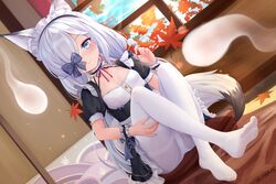  absurdres alternate_costume animal_ear_fluff animal_ears apron autumn_leaves azur_lane bed blue_eyes blue_sky bow breasts dress enmaided feet female fox_ears fox_girl fox_tail hair_over_one_eye hairbow highres holding indoors kasumi_(azur_lane) leaf long_hair looking_at_viewer maid maid_apron maid_headdress maple_leaf mimikaki no_shoes on_bed one_eye_covered panties panties_under_pantyhose pantyhose sechka sitting sky small_breasts smile soles solo tail underwear white_hair white_pantyhose 