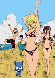  bikini cleavage erza_scarlet fairy_tail gray_fullbuster happy_(fairy_tail) jpeg_artifacts lucy_heartfilia natsu_dragneel swimsuits 