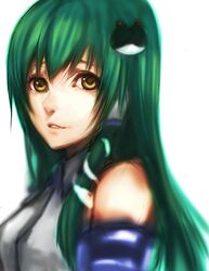  bad_id bad_pixiv_id close-up female frog green_hair hair_ornament kochiya_sanae long_hair sasaki_ryou snake solo touhou yellow_eyes 