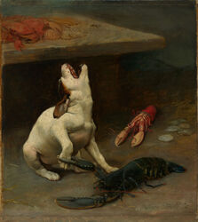  1889 19th_century absurd_res ancient_art arthropod black_body brown_body brown_fur canid canine canis claws crustacean decapoda detailed_background domestic_dog feral fur group hi_res humor lobster malacostracan mammal marine oil_painting_(artwork) open_mouth painting_(artwork) paws pinch signature traditional_media_(artwork) white_body white_fur william_strutt 