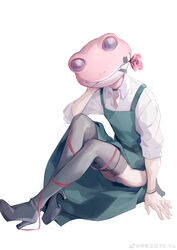  1other absurdres ambiguous_gender animal_head apron black_choker black_footwear boots bracelet chinese_commentary choker collarbone commentary_request covered_face e-ma_(pixiv6933729) elbow_on_knee facing_viewer final_fantasy final_fantasy_xiv flower flower_in_mouth frog_mask from_side full_body green_apron high_heel_boots high_heels highres jewelry knees_up leaf mask mouth_hold panties pantyshot red_flower red_ribbon red_rose ribbon rose shirt simple_background sitting solo thigh_boots underwear warrior_of_light_(ff14) weibo_logo weibo_watermark white_background white_panties white_shirt 