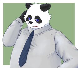  2022 anthro bari_mu bear black_body black_nose blue_eyes clothing giant_panda hi_res humanoid_hands kemono male mammal necktie overweight overweight_male shirt simple_background solo topwear white_body 