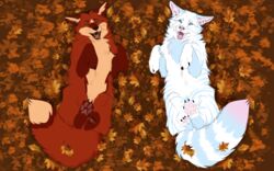  absurd_res arctic_fox autumn autumn_leaves canid canine domestic_cat duo felid feline felis feral fox hi_res hybrid leaf love mackerel_tabby male male/male mammal outside skullsbesan tabby_cat tanos true_fox zax_(zwalexan) 