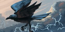  2021 2:1 4_toes aircraft airplane anisodactyl apothem australian_raven avian avian_feet beak bird black_beak black_body black_claws black_feathers black_talons blue_eyes blue_sclera claws cloud corvid corvus_(genus) detailed_background digital_media_(artwork) electricity feathered_wings feathers feet feral flying hi_res jet lightning macro magpi male oscine outside passerine raven sky skyscape smile solo storm tail tail_feathers toe_claws toes vehicle wings 