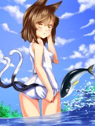  :&lt; animal_ears ass bad_id bad_pixiv_id blush brown_eyes brown_hair cat_ears cat_tail chen cloud day female fish from_behind looking_back multiple_tails one-piece_swimsuit school_swimsuit sky solo swimsuit swimsuit_tug tail touhou unowen wading water white_one-piece_swimsuit 