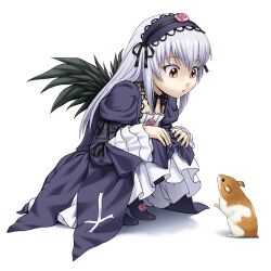  :o animal commentary_request dress female gothic_lolita grey_hair hairband hamster hands_on_own_knees ichikawa_masahiro lolita_fashion long_hair looking_down pink_eyes rozen_maiden solo squatting staring suigintou wings 