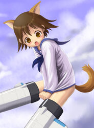  animal_ears bad_id bad_pixiv_id dog_ears dog_girl dog_tail embarrassed female harak miyafuji_yoshika solo strike_witches striker_unit tail world_witches_series 