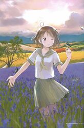  ;d animal animal_on_finger artist_request bird bird_on_hand brown_hair bug butterfly butterfly_on_arm butterfly_on_hand cloud cloudy_sky dragonfly female field flower flower_field highres kikuchi_yume lavender_(flower) mahou_tsukai_ni_taisetsu_na_koto one_eye_closed open_mouth outdoors path pleated_skirt purple_flower road scan school_uniform serafuku short_hair skirt sky smile solo tree 