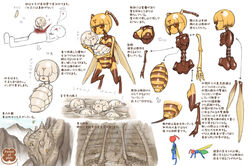  6+girls arthropod_girl bee_girl blood censored commentary_request diagram extra_arms extra_eyes fake_censor jon_henry_nam monster_girl multiple_girls pixiv_forest translated wings 