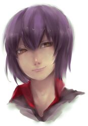  1boy bad_id bad_pixiv_id hayabusa_hideki inazuma_eleven inazuma_eleven_(series) lips male_focus portrait purple_hair shiro_(reptil) simple_background solo white_background yellow_eyes 