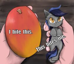  amber_eyes bat_pony blue_hair chopsticks-pony duo echo_(oc) equid fangs female feral food fruit fur grey_body grey_fur hair hasbro hi_res holding_character holding_object hooves mammal mango_(fruit) meme my_little_pony plant pupils slit_pupils teeth 