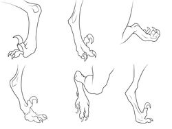  3_toes 4:3 black_and_white bluepredator claws digital_drawing_(artwork) digital_media_(artwork) digitigrade disembodied_foot feet hi_res line_art monochrome raptor_claws scalie simple_background solo toe_claws toes white_background 