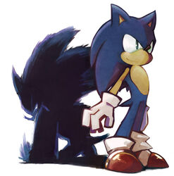  2010 anthro biped blue_body blue_fur clothing duo eulipotyphlan footwear fur gloves green_eyes handwear hedgehog male mammal niwa0w0 sega shadow shoes simple_background smile sonic_the_hedgehog sonic_the_hedgehog_(series) sonic_the_werehog sonic_unleashed standing were wereeulipotyphlan werehog white_background 