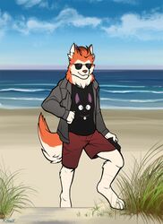  4_fingers 4_toes anthro barefoot beach biped blake_(saltedcaramelfox) bottomwear brown_nose canid canine canis cheek_tuft clothed clothing cloud detailed_background digital_media_(artwork) digitigrade domestic_dog eyewear facial_tuft feet fingers fully_clothed fur grass hair hand_on_hip head_tuft hi_res holding_object husky jacket kittellox_(artist) looking_at_viewer male mammal nature neck_tuft nordic_sled_dog open_clothing open_jacket open_topwear orange_body orange_fur outside plant pose sand sea seaside shirt shorts sky smile smirk solo spitz sunglasses t-shirt tall_grass toes topwear tuft water white_body white_fur 