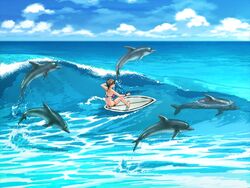  animal barefoot bikini blue_sky blue_theme brown_hair cloud day dolphin female flock game_cg happoubi_jin horizon jpeg_artifacts kuouzumiaiginsusutakeizumonokamimeichoujin_mika ocean outdoors red_bikini resort_boin sky solo surfboard surfing swimsuit waves 