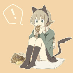  ! animal_ears cat_ears commentary_request eating female hayato_(meromoni) original scarf socks solo 