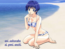  ai_yori_aoshi beach bikini blue_eyes blue_hair day female highres imageboard_desourced kneeling nakayama_yumi non-web_source sakuraba_aoi short_hair solo swimsuit 