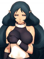  bare_shoulders black_gloves bracelet breast_hold breasts collar come_hither crop_top female fumio_(rsqkr) gloves grabbing_own_breast green_hair grey_eyes halterneck hand_on_own_chest jewelry large_breasts long_hair midriff narrow_waist net_ghost_pipopa net_venus pointy_ears simple_background sleeveless sleeveless_turtleneck solo turtleneck very_long_hair white_background 