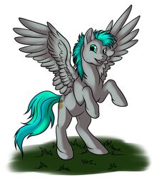  2014 cutie_mark dark_natasha equid equine feathered_wings feathers feral foxenawolf fur goldfur&#039;s_cogsverse green_eyes green_hair green_tail grey_body grey_fur hair hasbro hooves male mammal my_little_pony mythological_creature mythological_equine mythology pegasus simple_background solo spread_wings tail whirring_cogs white_background wings 