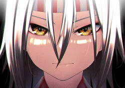  akane_harurou brown_eyes close-up closed_mouth female grey_hair hachimaki hair_between_eyes headband kantai_collection long_hair portrait solo zuihou_(kancolle) 