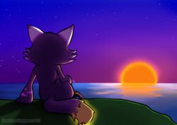  absurd_res anthro cliff cliff_side digital_media_(artwork) glowing glowing_markings glowing_tail glowing_tail_tip grass hi_res impim markings night outside plant rear_view reflection relaxing sea signature sitting sky solo soniclux sonicluxhedgeman star starry_sky sun sunset tail water watermark 