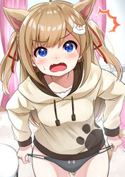  ^^^ animal_ear_fluff animal_ears black_panties blue_eyes blurry blurry_background blush bow bow_panties breasts brown_hair brown_hoodie cat_ears cat_girl cat_hair_ornament cat_tail commentary curtains depth_of_field drawstring fangs female hair_ornament hair_ribbon highres hiyori-chan hood hood_down hoodie indoors long_hair long_sleeves looking_at_viewer no_pants open_mouth original panties red_ribbon ribbon small_breasts solo sora_(silent_square) sweat table tail two_side_up underwear very_long_hair window 