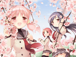  3girls :d adjusting_hair akino_momiji black_legwear cherry_blossoms double-breasted flower highres kiriyama_sakura long_hair long_sleeves low_twintails miniskirt multiple_girls open_mouth outdoors pan_(mimi) petals pink_eyes pink_hair pleated_skirt purple_hair sailor_collar sakura_musubi school_uniform sera_karen short_hair skirt sky smile thighhighs twintails wallpaper wind zettai_ryouiki 