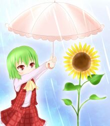  arms_up ascot blue_background blush_stickers chibi commentary_request covering_privates dress_shirt female flower green_hair kazami_yuuka leaf long_sleeves looking_away outstretched_arms parasol plaid plaid_skirt plaid_vest rain red_eyes shirt short_hair simple_background skirt solo standing sunflower touhou umbrella umi_suzume vest 