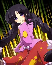  alternate_hairstyle bamboo bamboo_forest black_hair braid commentary_request female forest hair_ribbon houraisan_kaguya kamelie long_hair nature purple_eyes ribbon skirt sleeves_past_wrists smile solo touhou twin_braids very_long_hair 