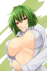  akitsuki_karasu breasts cleavage commentary_request female green_hair kazami_yuuka large_breasts naked_shirt no_bra open_clothes open_shirt red_eyes shirt short_hair solo touhou 