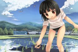  :d akemiho_tabi_nikki bad_id bad_pixiv_id bird black_buruma black_hair black_panties blue_sky blush brown_eyes buruma cloud day female fukube_tamaki gendai_ninjakko_zukan kouno_hikaru mountain open_mouth outdoors panties rice_planting see-through shirt short_hair sky smile solo town underwear 