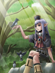  bird bird_on_hand commentary_request crossed_legs elf elvaan female final_fantasy final_fantasy_xi forest grey_eyes light_rays long_hair nature photoshop_(medium) pointy_ears prishe purple_eyes purple_hair sitting solo sunbeam sunlight tara_baka_ni tree 