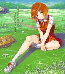  aged_down breasts briefcase brown_eyes brown_hair closed_mouth commentary_request cross-laced_footwear daigoman day dress eyelashes female flower full_body grass hands_on_own_leg head_tilt house knee_up legs looking_away meadow medium_breasts meiko_(vocaloid) nail_polish nature neck_ribbon ocean on_ground outdoors outstretched_leg own_hands_together photoshop_(medium) pinafore_dress red_dress red_nails red_ribbon ribbon road rural sakine_meiko shadow shoes short_dress short_hair short_sleeves sideways_glance sitting sleeveless sleeveless_dress smile sneakers socks solo swept_bangs translation_request v_arms vocaloid white_flower white_footwear white_socks 