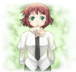  amputee blush brown_hair feline female green_eyes katawa_shoujo looking_at_viewer mouth_hold necktie outdoors outside school_uniform shirt short_hair tezuka_rin tie uniform 