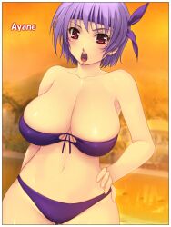  ayane_(doa) bikini blush breasts cleavage commentary_request dead_or_alive female hand_on_own_hip headband large_breasts navel open_mouth purple_bikini purple_hair red_eyes short_hair solo swimsuit yoko_jyusuke 