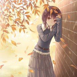  against_wall autumn autumn_leaves bad_id bad_pixiv_id belt brick_wall brown_eyes brown_hair commentary_request falling_leaves female frilled_skirt frills grey_skirt leaf long_skirt long_sleeves looking_at_viewer medium_hair outdoors photo-referenced shoes skirt sleeves_past_wrists solo standing tokumaru 