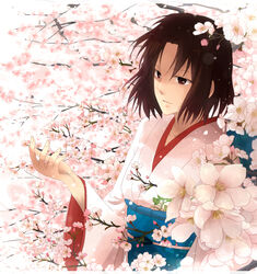  bad_id bad_pixiv_id brown_hair cherry_blossoms female izru japanese_clothes kara_no_kyoukai kimono ryougi_shiki short_hair solo 