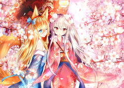  2girls alternate_costume alternate_hairstyle animal_ears arm_at_side arrow_(projectile) bare_shoulders blonde_hair blue_bow blue_eyes blue_kimono blue_ribbon blush bow breasts cherry_blossoms collarbone commentary_request detached_sleeves floating_hair floral_print flower fox_ears fox_tail fur-trimmed_kimono fur_trim g41_(girls&#039;_frontline) girls&#039;_frontline hair_between_eyes hair_flower hair_ornament hair_ribbon hairbow heterochromia highres holding holding_umbrella japanese_clothes kar98k_(girls&#039;_frontline) kimono long_hair long_sleeves looking_at_viewer medium_breasts multiple_girls obi off_shoulder oil-paper_umbrella one_eye_closed open_mouth outdoors pink_kimono red_eyes ribbon sash sleeves_past_wrists small_breasts smile tail umbrella very_long_hair white_hair wide_sleeves wind wind_lift yoko_(yang-tzu) 