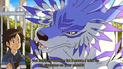  16:9 angry annoyed bandai_namco black_nose dahecksajerry detailed_background dialogue digimon digimon_(species) duo english_text fake_screencap feral garurumon human humor looking_at_another looking_at_partner male mammal offended open_mouth size_difference subtitled text widescreen yellow_eyes 