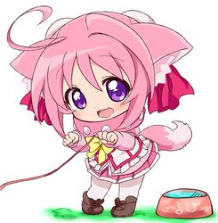  animal_ear_fluff animal_ears bad_id bad_pixiv_id bowl chibi collar dog_days dog_ears dog_girl dog_tail dress female hair_ornament leash meiro_(yuu) millhiore_f._biscotti pet_bowl pink_hair pink_tail purple_eyes ribbon solo tail 