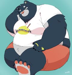  2022 absurd_res anthro bear belly big_belly blue_background clothing hi_res humanoid_hands kemono male mammal obese obese_male overweight overweight_male shirt simple_background sitting solo text text_on_clothing text_on_shirt text_on_topwear topwear uokkom 