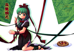  ayami_chiha female front_ponytail green_eyes green_hair highres kagiyama_hina photoshop_(medium) solo touhou 