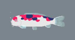  air_bubble animal_focus animated animated bubble commentary english_commentary fish from_side grey_background koi no_humans original pixel_art simple_background toyoi_yuuta 