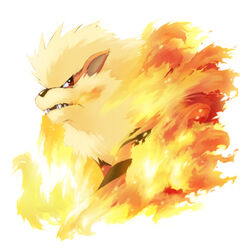  arcanine fire furuu no_humans pokemon solo 