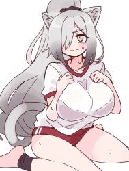  absurdres alternate_costume animal_ear_fluff animal_ears arknights blush breasts cat_ears cat_girl cat_tail female grey_hair gym_uniform highres large_breasts long_hair looking_at_viewer nikukabe ponytail schwarz_(arknights) sweat tail white_background 